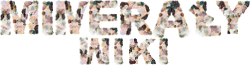 Minerały Wiki propozycja logo-1.png