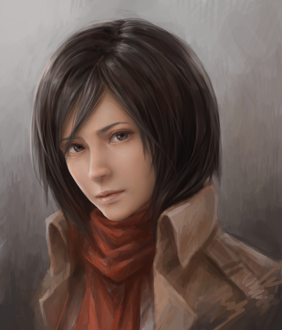 Image - Mikasa ackerman by jxbp-d6h7m53.png | Pocket Knights Wiki ...