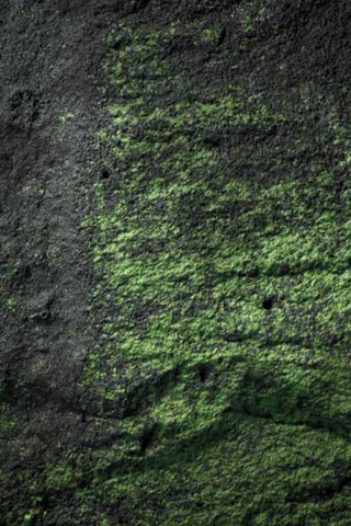 File:Mossy Habitat.png