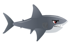 Shark 1