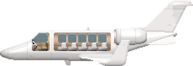 File:PearjetPassenger.png