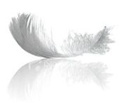Feather