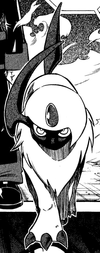 Koya Absol.png