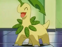 EP219 bayleef feliz.png