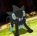 Luxrayavva.jpg