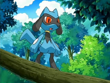 Plik:Riolu.png