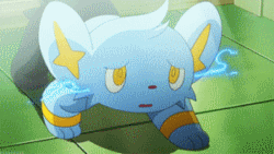 Shinx Asustado de Blitz