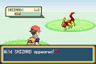 Shizard