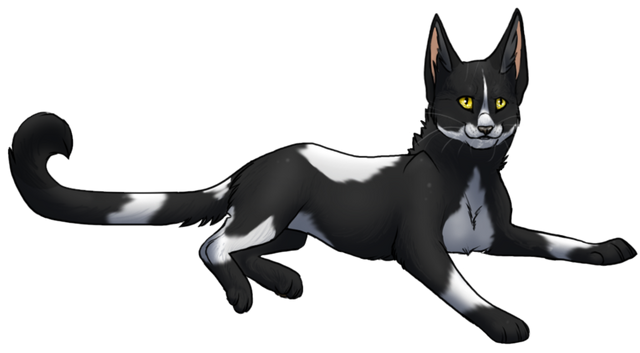 File:Wikia-Visualization-Main,pokemonfancreation.png