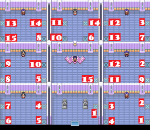 Saffron Gym Map