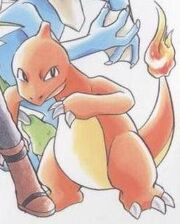 Charmeleon Vol2 Backcover