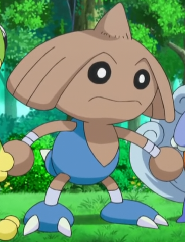 File:Tierno Hitmontop.png