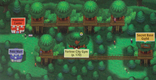 File:Fortree City ORAS.png