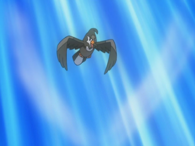 File:Ash Staravia Gust.png