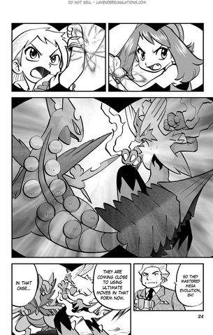 File:ORAS004 13.png