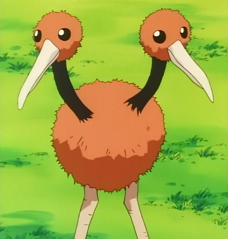 File:Gary Doduo.png