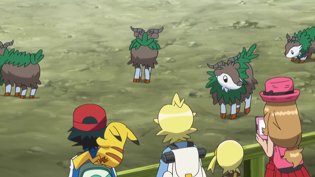 File:XY055 1.png
