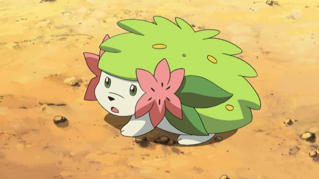 File:Shaymin Land anime.png
