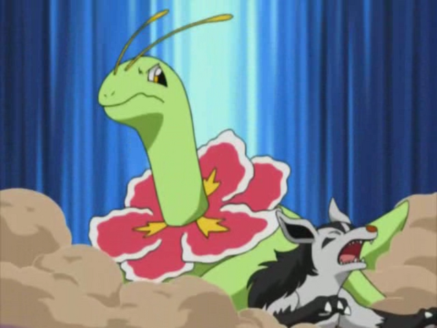 File:Casey Meganium Body Slam.png