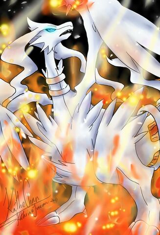 File:Reshiram in Flames.jpeg