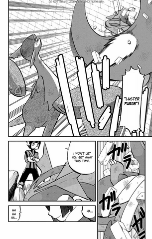 File:ORAS004 4.png