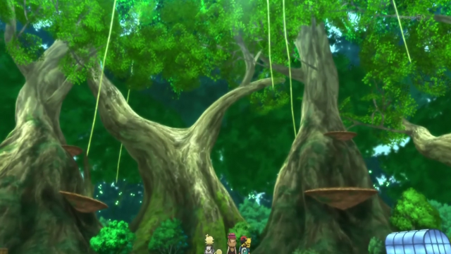 File:XY060 5.png