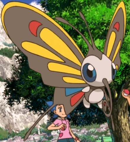 File:Kiko Beautifly.png