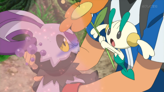 File:Floette Aromatherapy.png