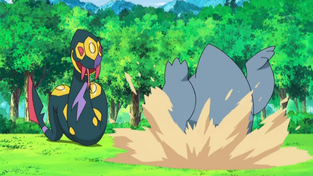 File:Ditto 2 Dig.png