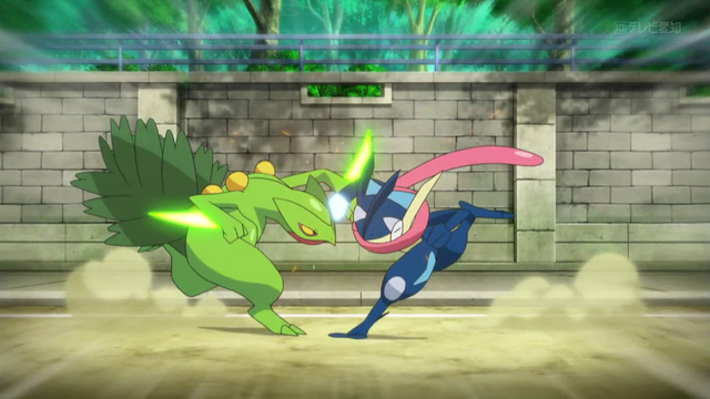 File:XY110 2.png