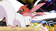 XY077 6
