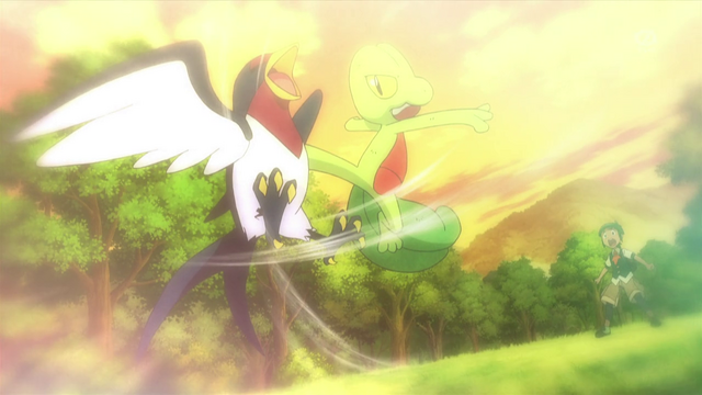 File:XY078 8.png