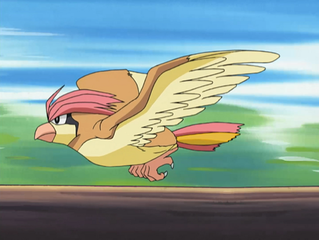 File:Vladimir Pidgeotto.png