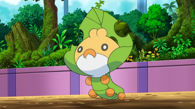 File:Ash Sewaddle.png