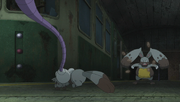 XY091 8