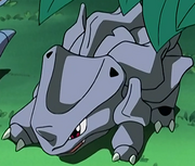 Baby Rhyhorntwo
