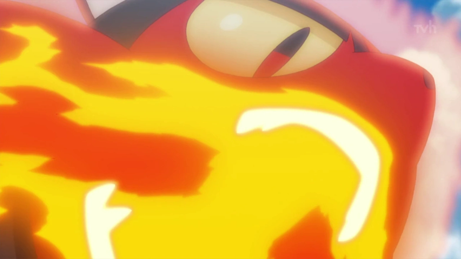 Image Ash Litten Fire Fang.png Pokémon Wiki FANDOM powered by Wikia