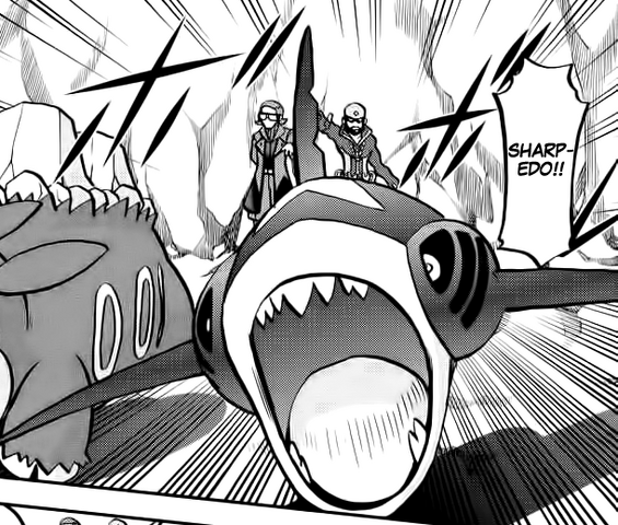 File:Archie Sharpedo Adventures.png