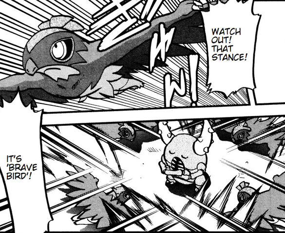 File:Essentia's Hawlucha Brave Bird.jpg