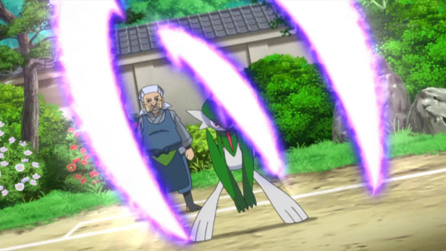 File:Woodward Gallade Psycho Cut.png
