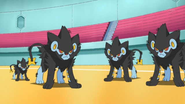 File:Volkner Luxray Double Team.png