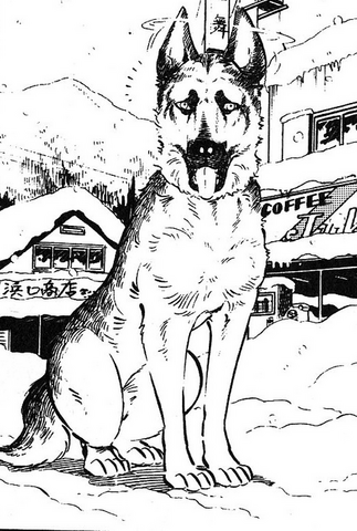 File:Brendan wolf16.png