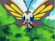 Beautiflyvd3