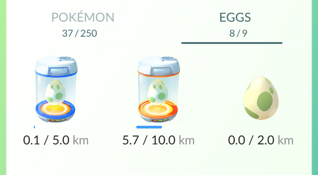 File:Hatching Test Beginning.png
