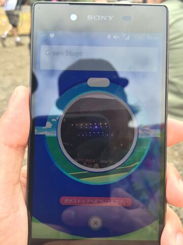 ファイル:Fujirockpoke003.jpg