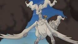 Reshiram i Ash.jpg