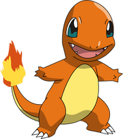 Charmander | PokemonPets Wikia | Fandom powered by Wikia