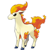 Ponyta