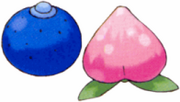 Bayas.png