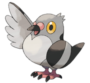 Pidove.png